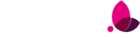 monamie
